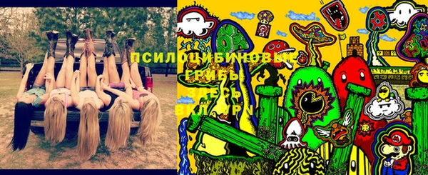 шишки Алексеевка